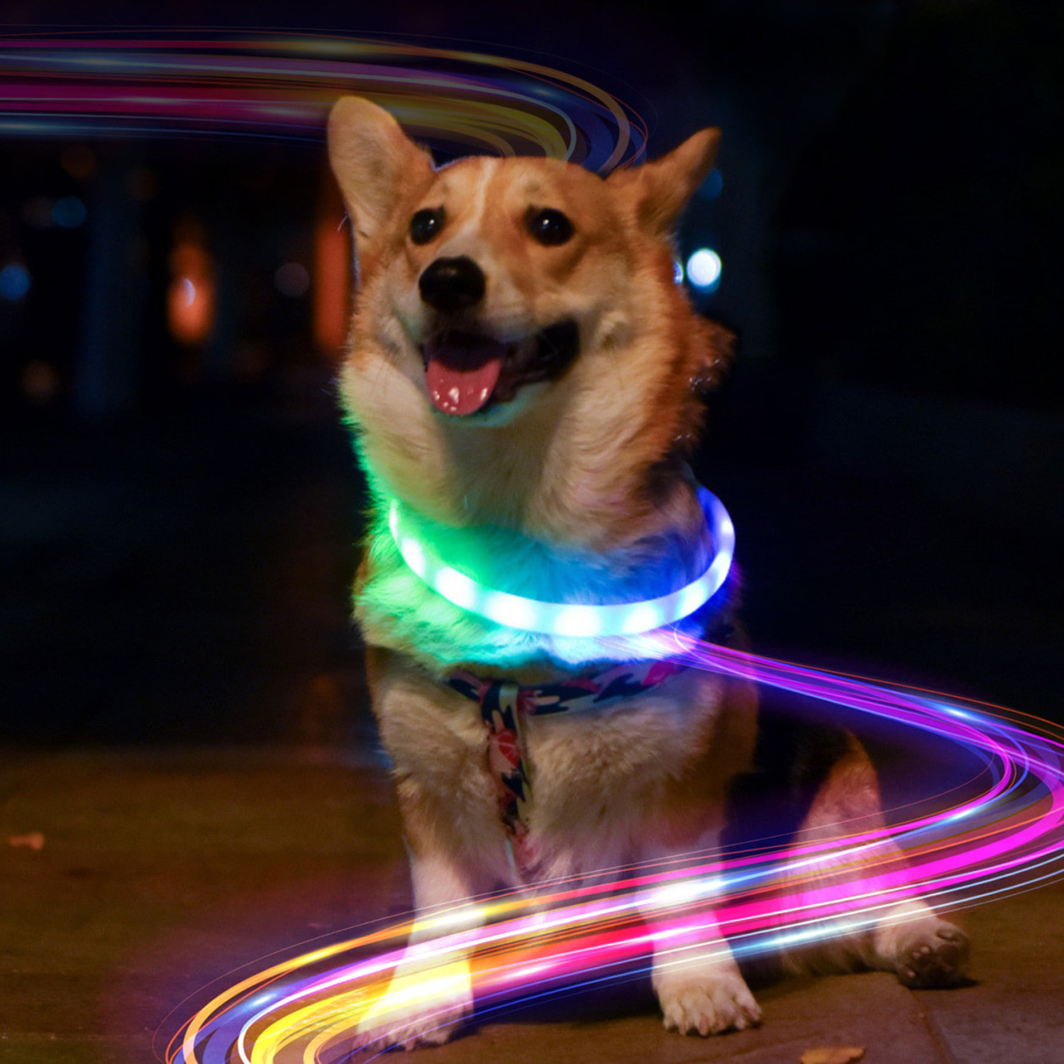 강아지 산책 LED 목걸이 USB충전식 밴드